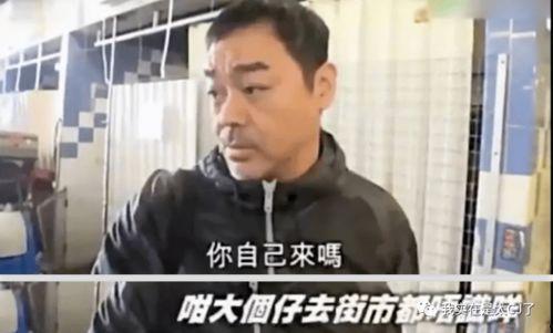 疫情期间娱乐圈怎么吃瓜,瓜田李下，明星们的“宅家”生活揭秘